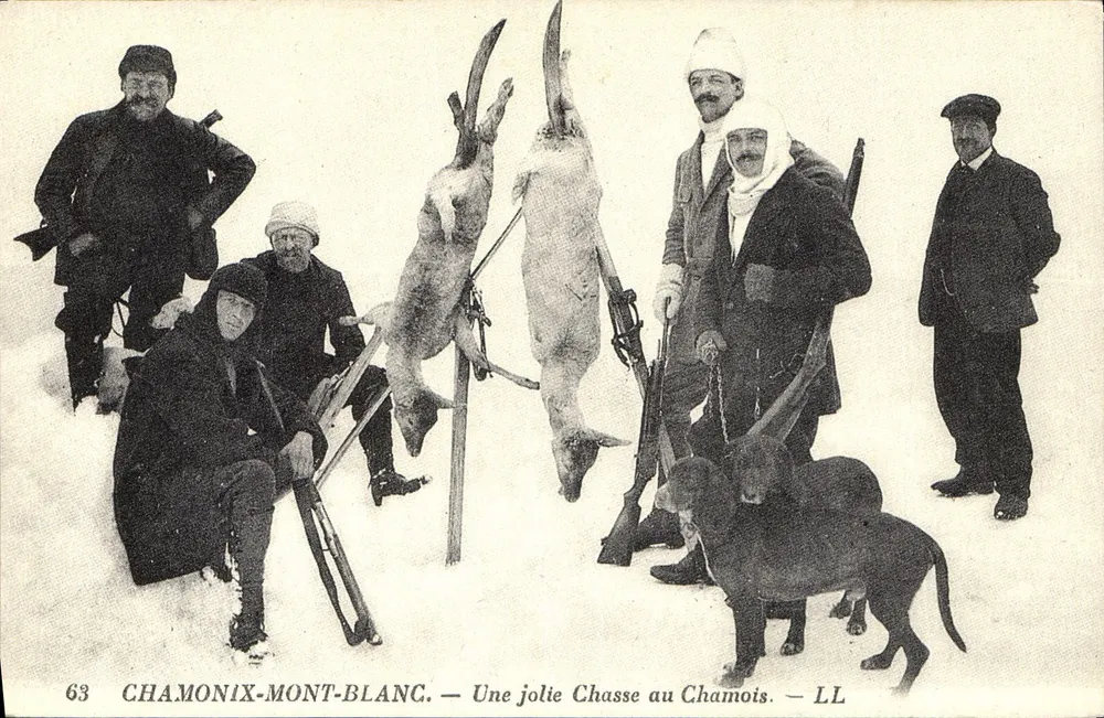Chamonix-Mont-Blanc — Eine schöne Schneehasenjagd — LL - Vorderseite