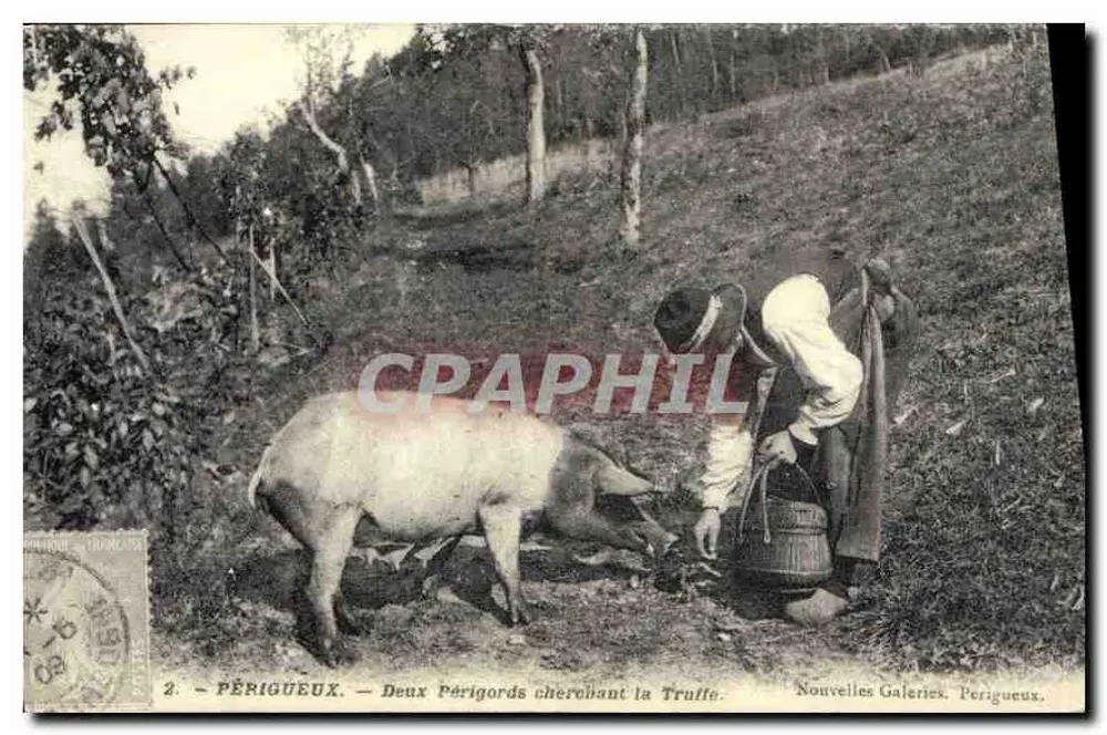 Périgueux — Zwei Périgords auf Trüffelsuche — Nouvelles Galeries, Périgueux - Vorderseite