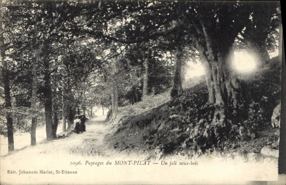 Landschaften des MONT-PILAT — Ein hübscher Unterholz — Edit. Johannis Merlat, St-Etienne - Vorderseite