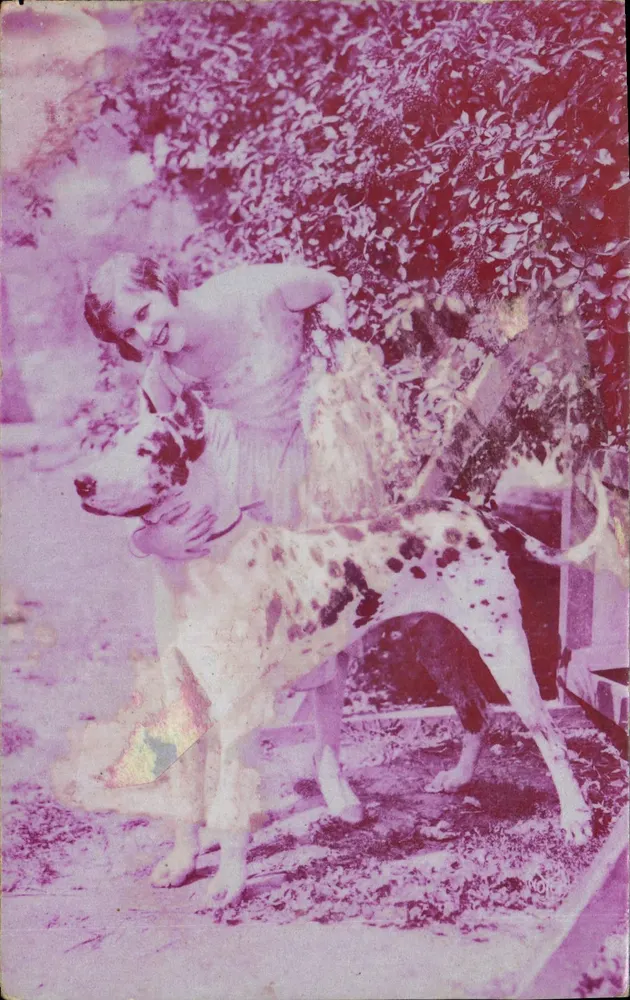 Mulher e grande cão — jardim — editor Diamant, n° 13 - Frente