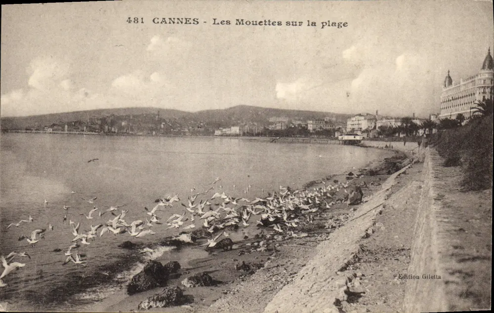 CANNES - De meeuwen op de strand — Uitgave Giletta, n° 481 - Voorkant