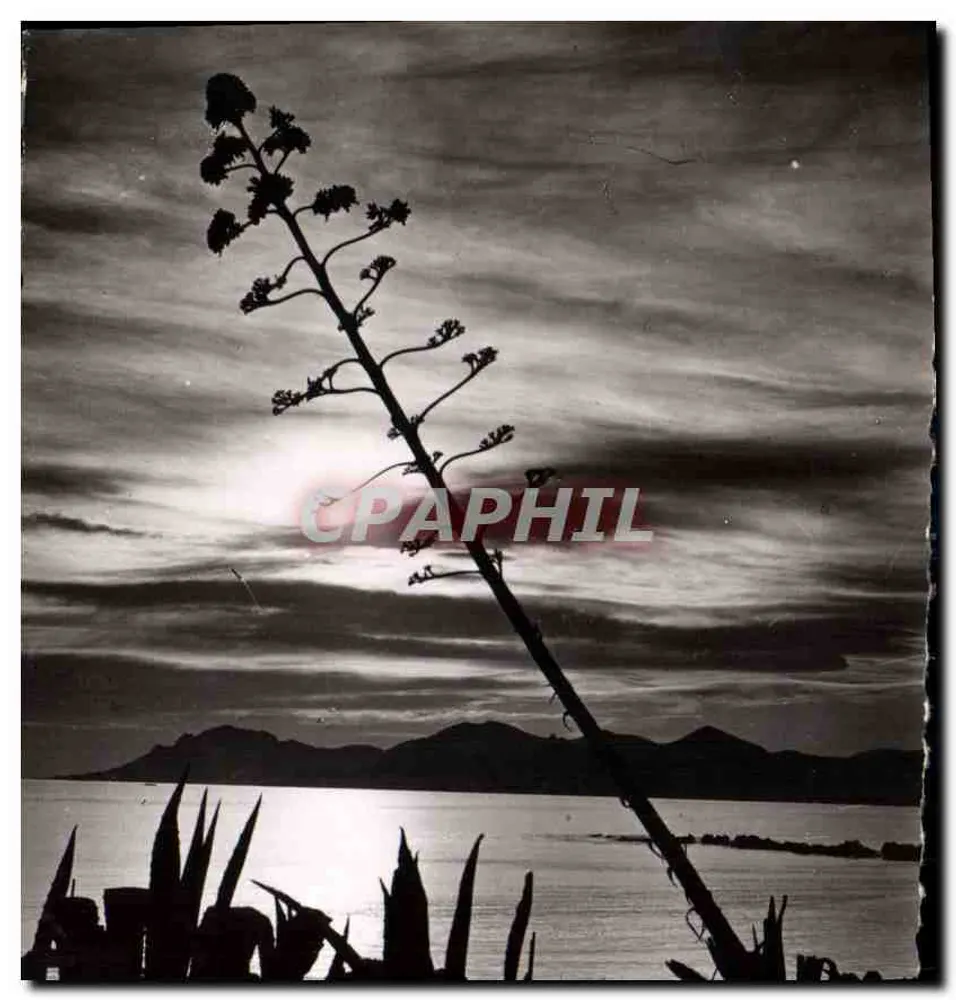 Cannes — Puesta de Sol en el Estérel — L. Gilletta & Cie, Fotógrafo - Anverso