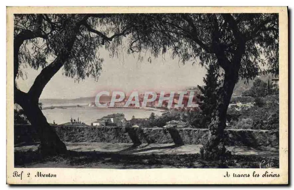 Menton — Através dos oliveiros — Bef 2 Menton - Frente