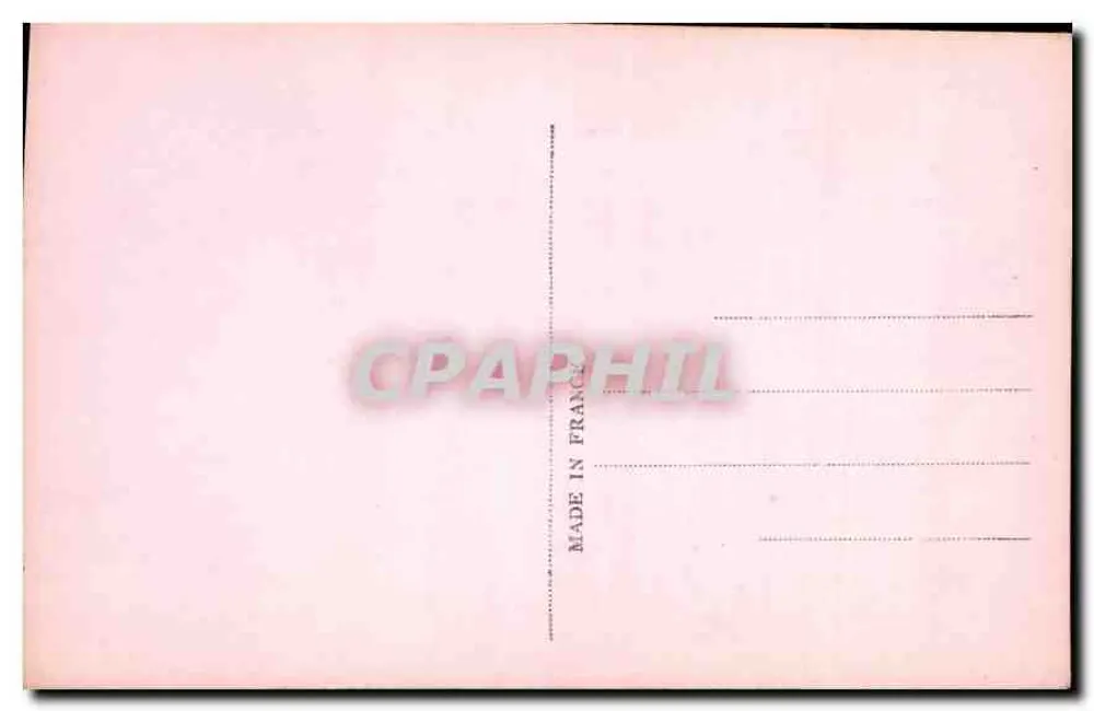 Jovem mulher — retrato em rosa — S. W. L. n° 5565 - Verso