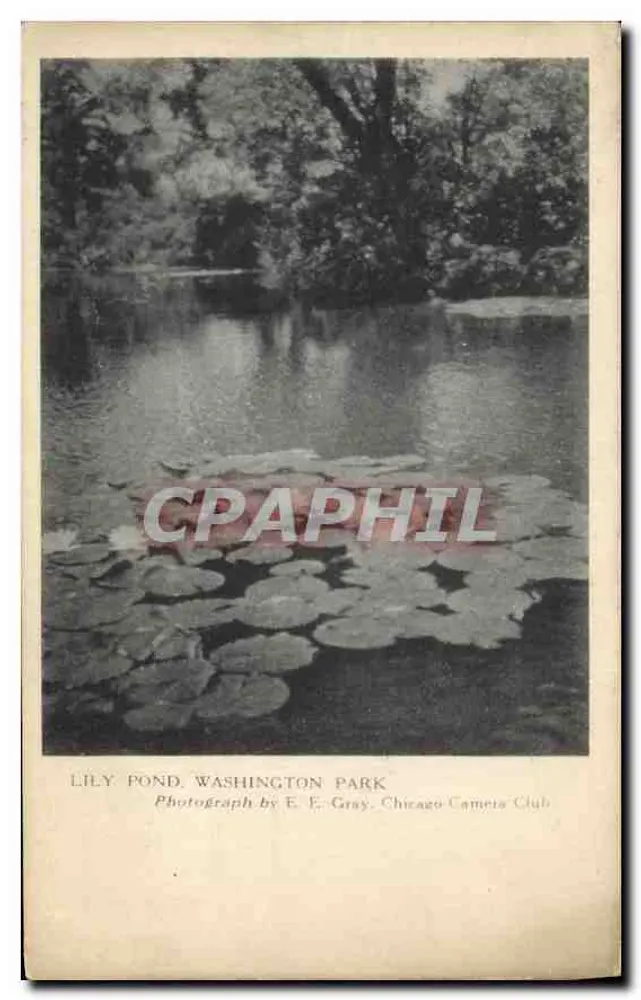वॉशिंगटन पार्क में लिली पूल — E. E. Gray द्वारा फोटोग्राफी, चिकागो कैमरा क्लब — चिकागो के मूनिसिपल आर्ट लीग की सीरीज़ - आगे