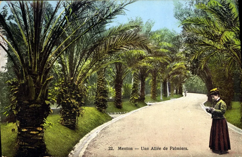 Menton — Uma Avenida de Palmeiras — Edição Palais des Cartes, Menton, n°22 - Frente