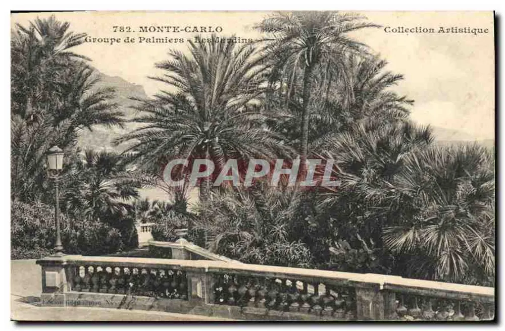 Monte-Carlo — Gruppe von Palmen — Die Gärten — Künstlerische Sammlung — Verlag Giletta, Nr. 782 - Vorderseite