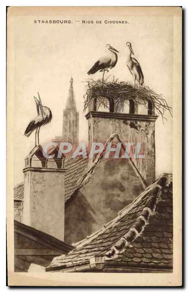 Estrasburgo — Nidos de Cigognas — Papeterie Alsacienne, Estrasburgo. - Frente