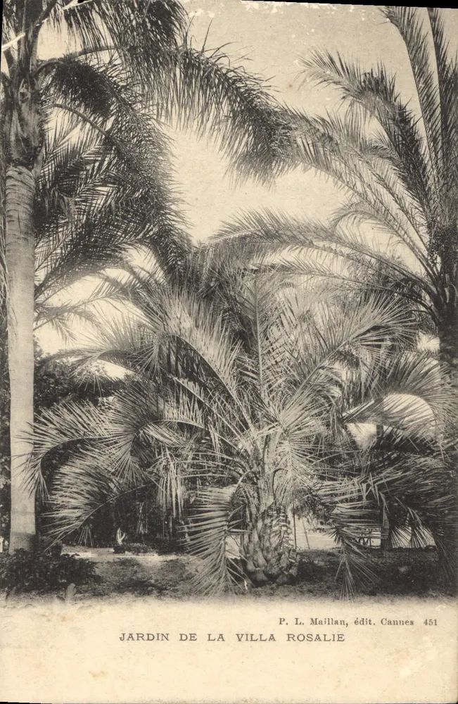Jardim da Villa Rosalie — Cannes — P. L. Maillan, edição Cannes 451 - Frente