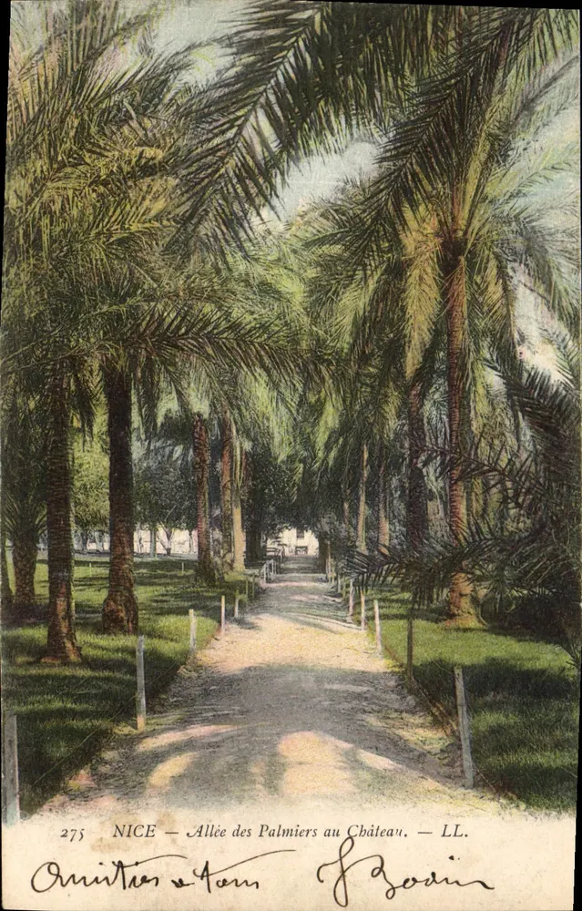 NICE — Avenida de los Palmeros hacia el Castillo — LL. — n° 2775 - Anverso