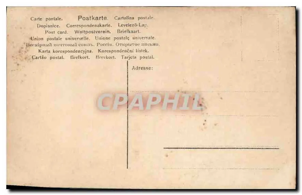 Mulher jovem sorridente — retrato — NRB, n° 441/9 - Verso