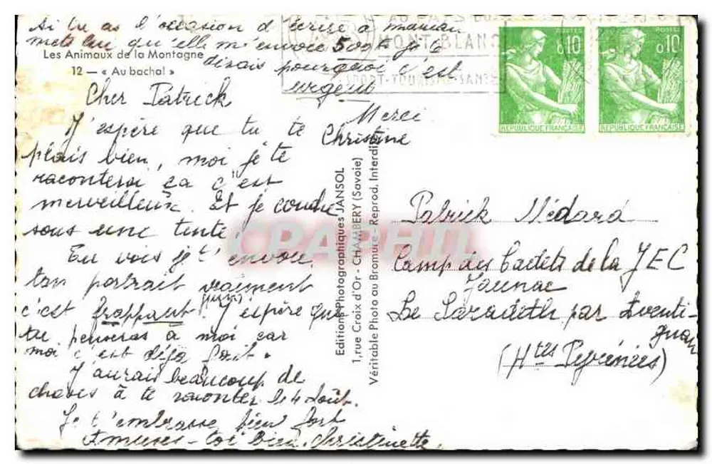 Hörnchenkuh — Mont Blanc — Jansol - Rückseite