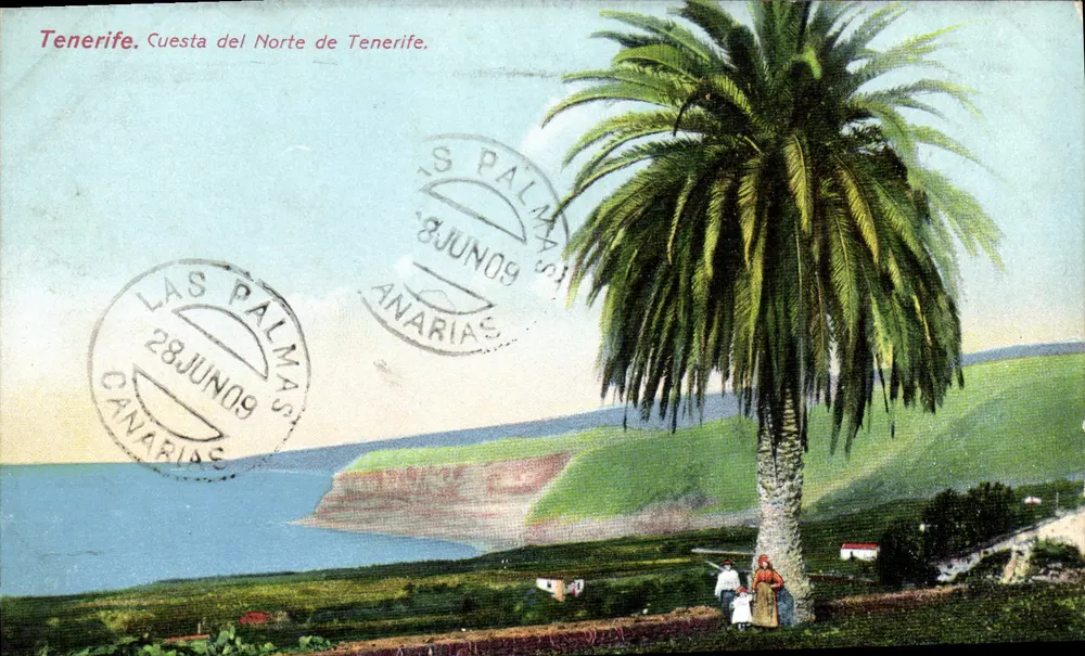 Cuesta del Norte de Tenerife — Küstenblick mit Palme — unbekannter Verleger, Seriennummer nicht sichtbar - Vorderseite