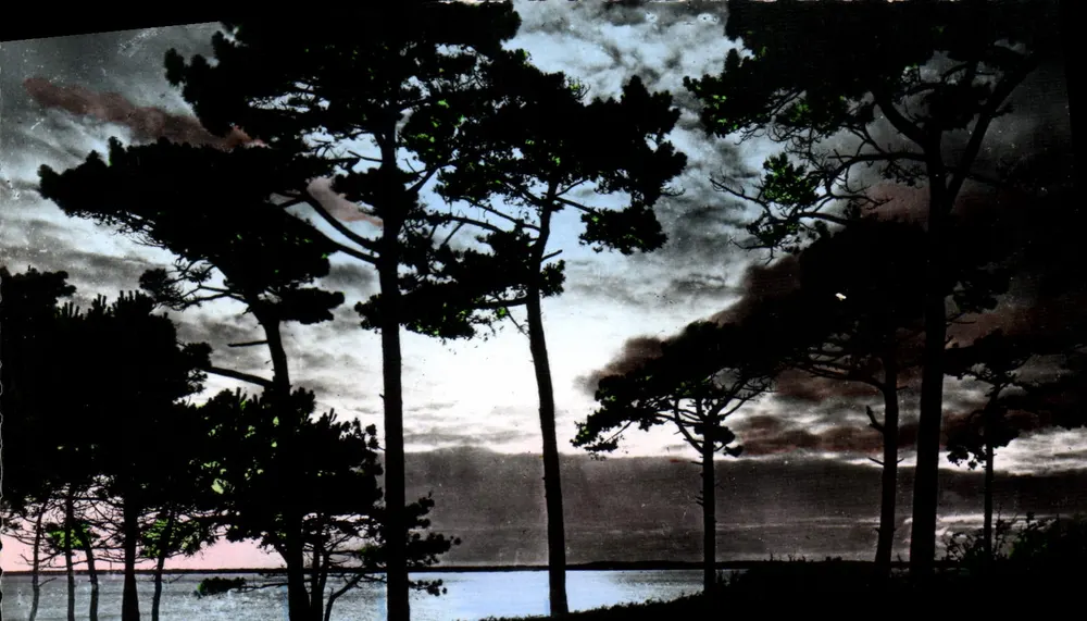 Bassin d'Arcachon — Sonnenuntergang — RENAUD & BUZAUD, Bordeaux - Vorderseite