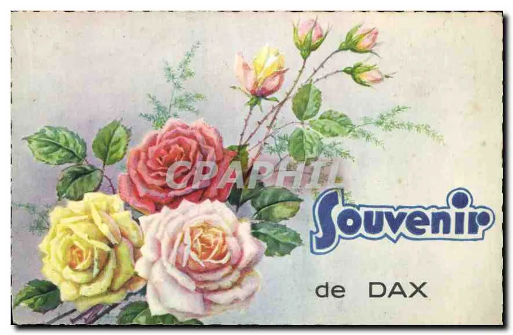 Rosas — Lembrete de DAX — G. Artaud, Nantes - Frente