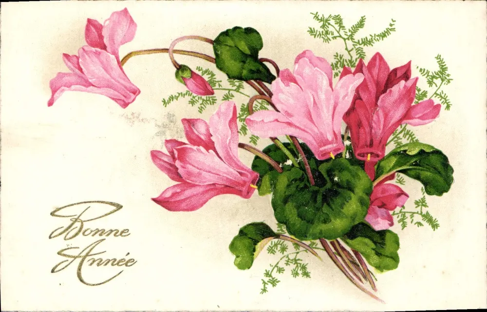 Flores de ciclamenos — Boa Ano — Carta postal de boas-vindas - Frente