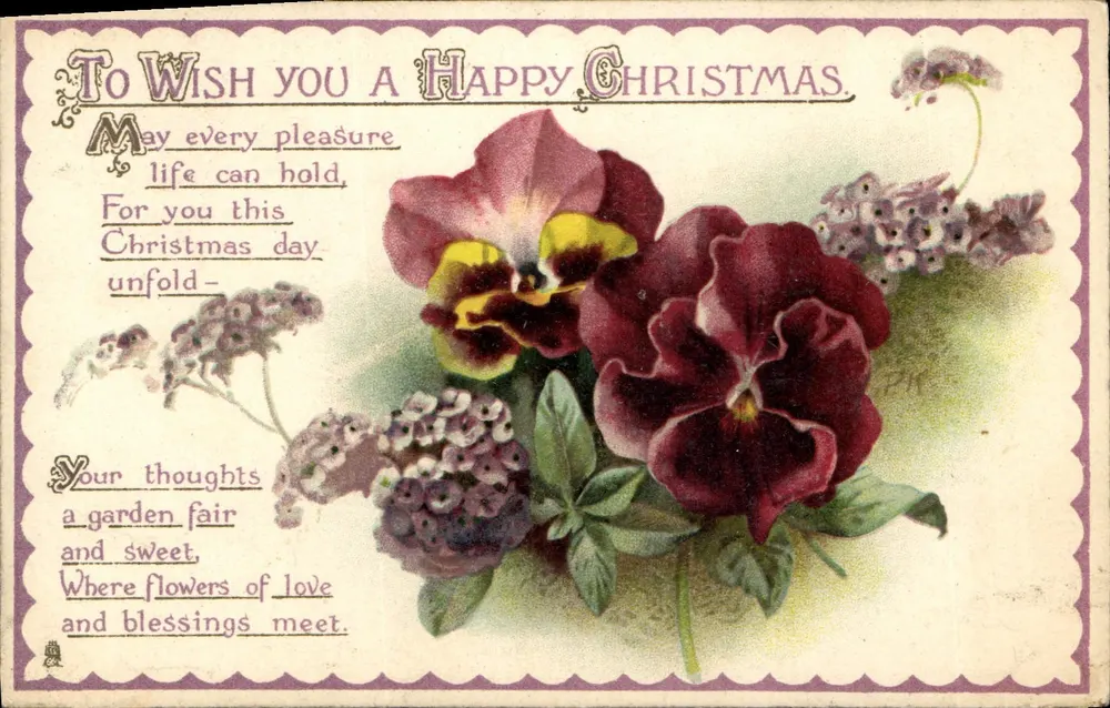 Gänseblümchen — Weihnachtskarte — Tuck's Post Card - Vorderseite