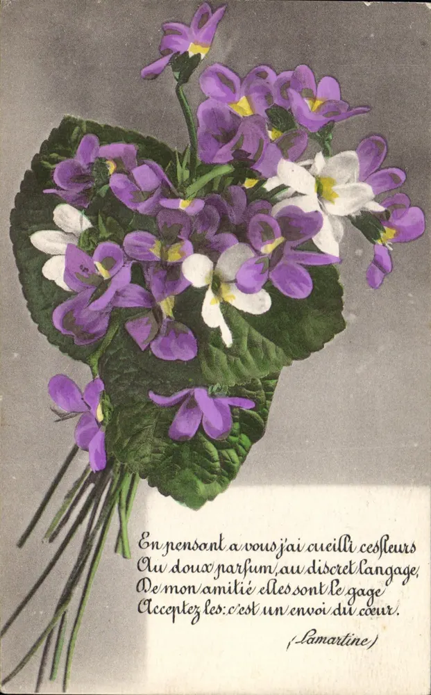 Blütenstrauß aus Violett — Gedicht von Lamartine — Verlag G. Baudry, 28 Rue de la Borne-Blanche, Paris - Vorderseite