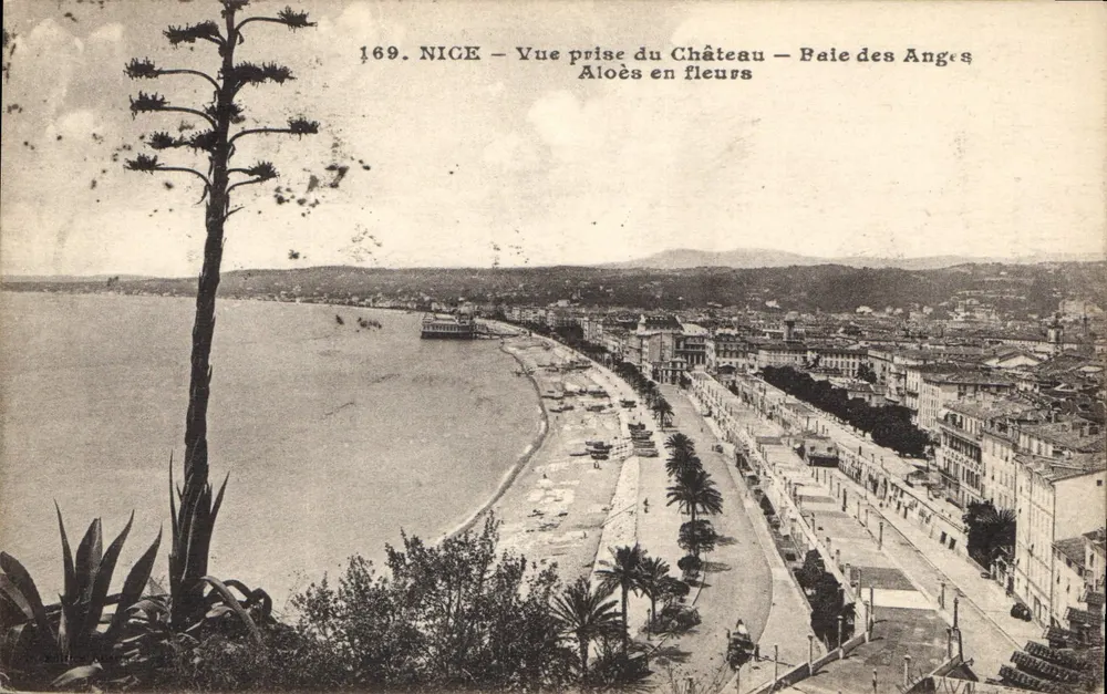 NICE — Ausblick vom Schloss — Bucht der Engel — blühender Aloe - Vorderseite