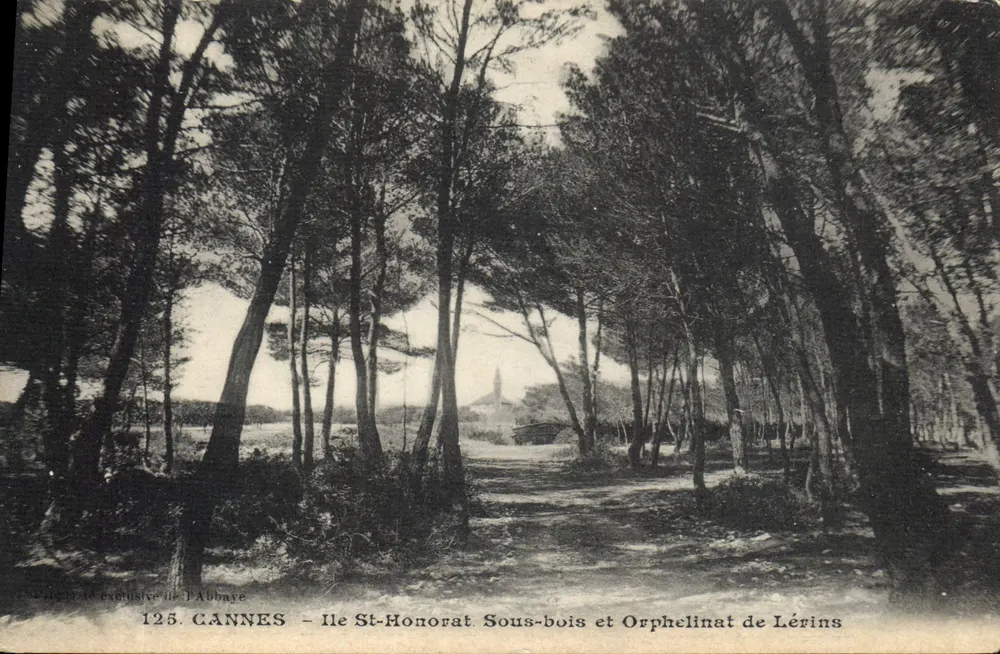 Cannes - Île Saint-Honorat. Unterholz und Waisenhaus Lérins - Vorderseite
