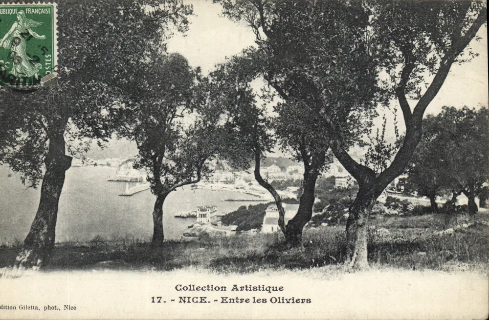 Nice — Zwischen den Olivenbäumen — Künstlerische Sammlung 17, phot. Giletta, Nice - Vorderseite