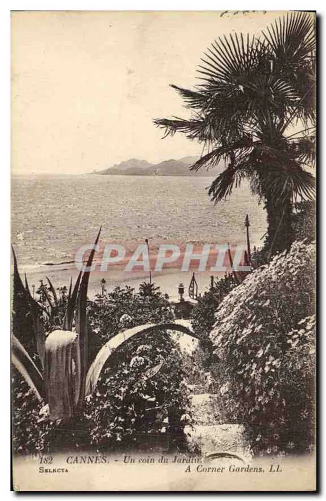 CANNES - Um canto do Jardim — SELKCTA, n°182 - Frente