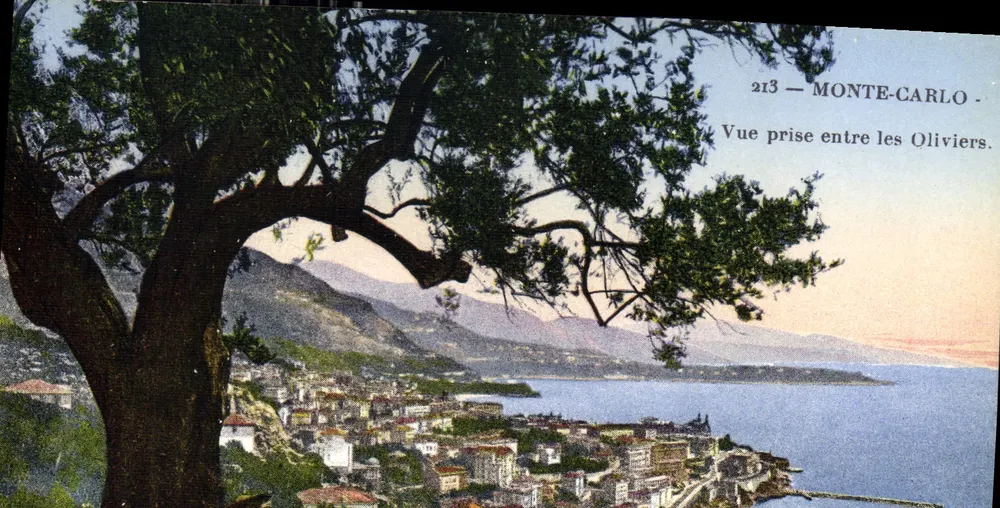 Monte-Carlo — Ansicht zwischen den Oliviers — Baylone Frères n°213 - Vorderseite