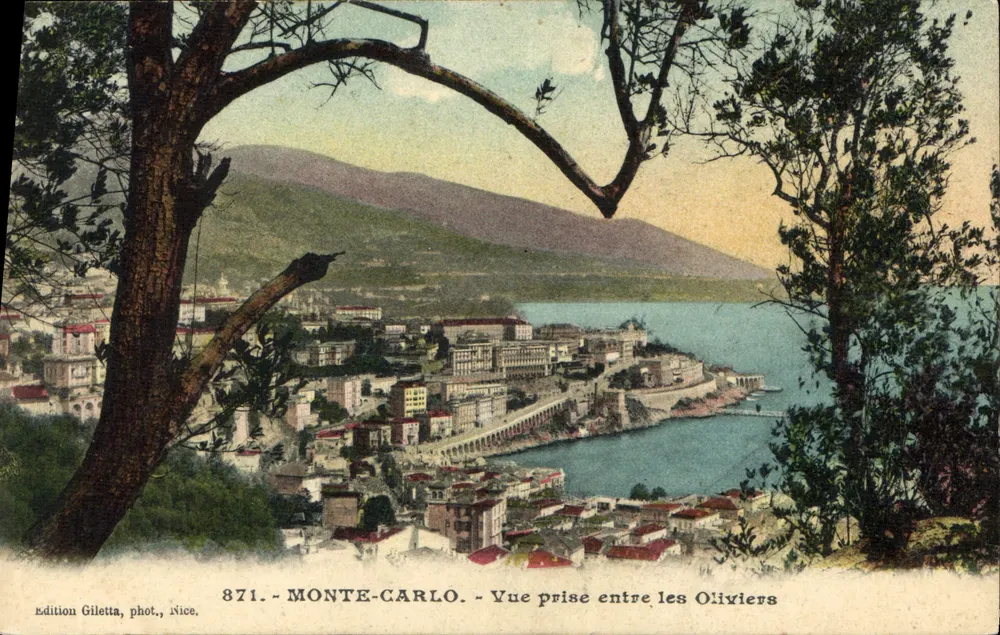 Monte-Carlo — Aufnahme zwischen den Olivenbäumen — Edition Giletta, phot., Nice, n°871 - Vorderseite