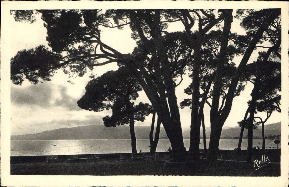 Juan-les-Pins — Rücklicht auf dem Pinewood — Rella - Vorderseite