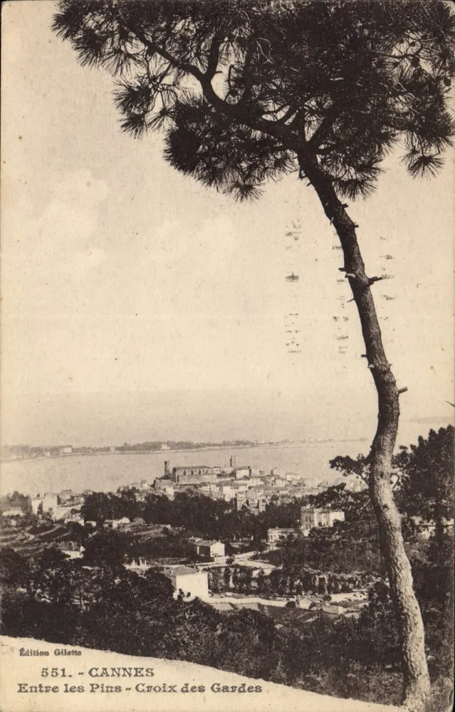 Cannes - Croix des Gardes — Ansicht von den Pinien — Edition Gilletta n°551 - Vorderseite