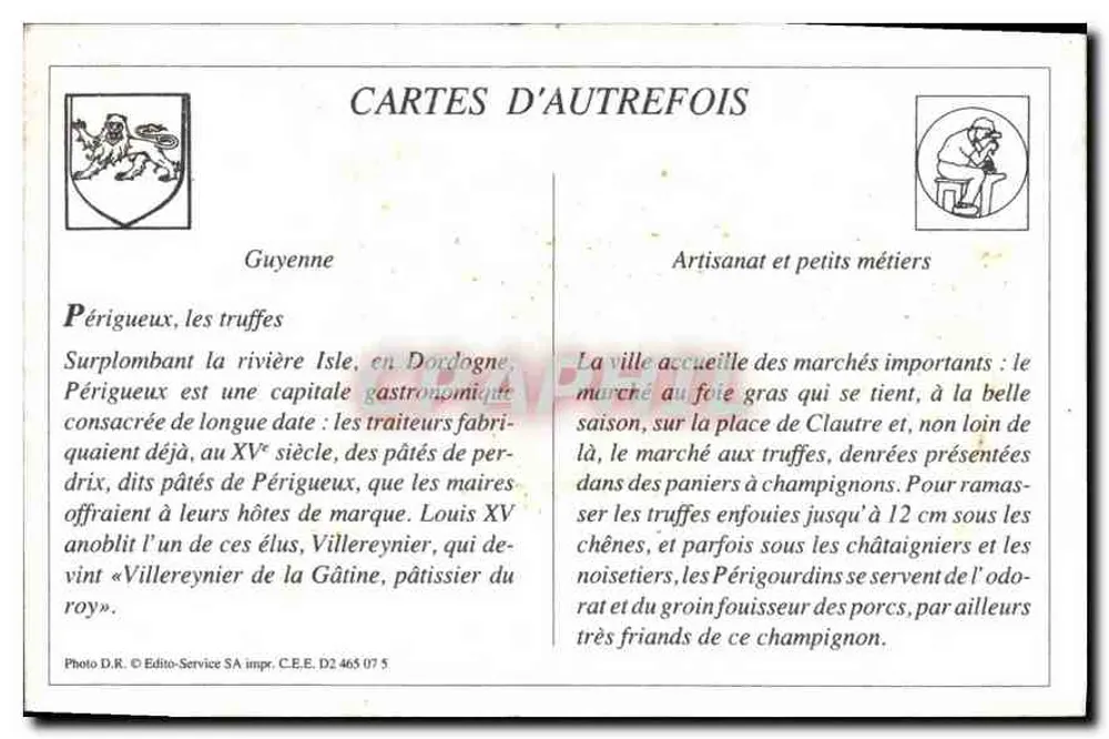 Périgueux — Zwei Périgords auf der Suche nach Trüffeln — Nouvelles Galeries, Périgueux - Rückseite