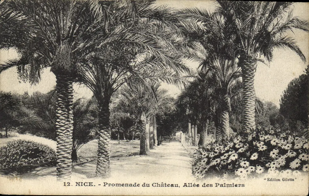 Nice - Promenade du Château, Allée des Palmiers — Edition Giletta, Nr. 12 - Vorderseite