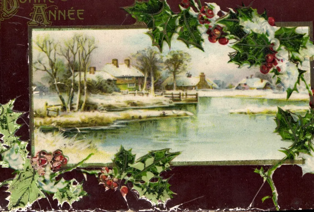 Paisagem invernal — decoração de hortênsias — editor não visível - Frente