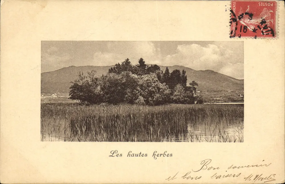As altas gramíneas — vista de lago com ilha arborizada — Brunner & Co., Como, n° 3429 - Frente