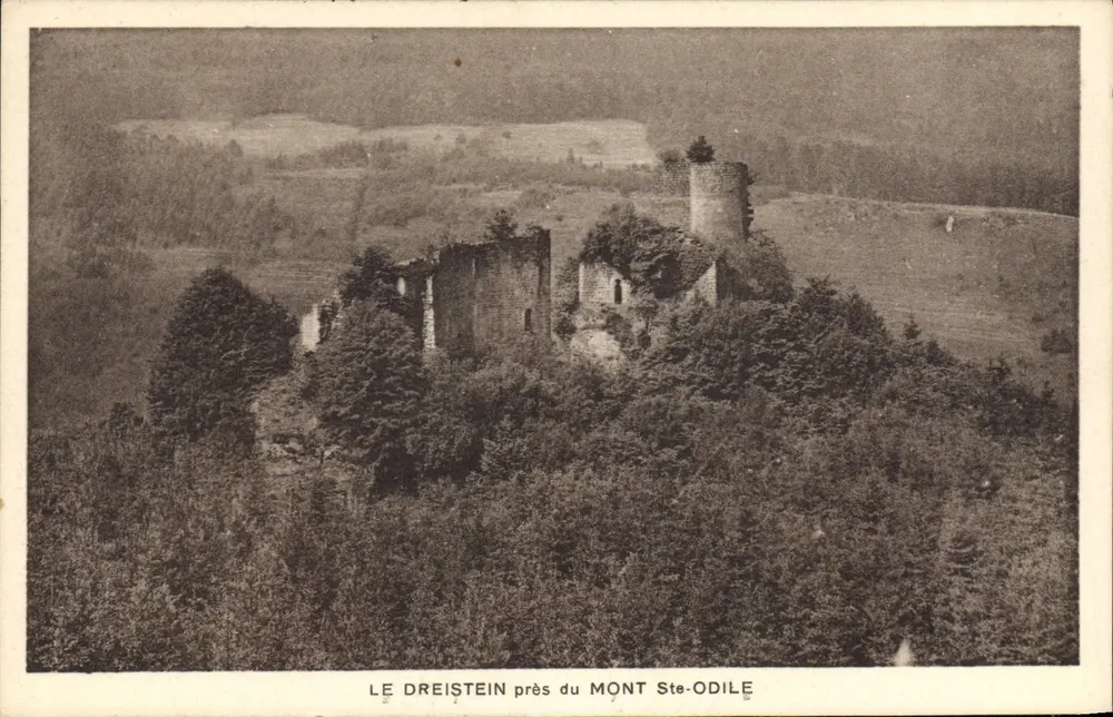 Le Dreistein in der Nähe des Mont Ste-Odile — Ruinen eines Schlosses auf einem bewaldeten Hügel — Verlag Jaecck, Obernai - Vorderseite