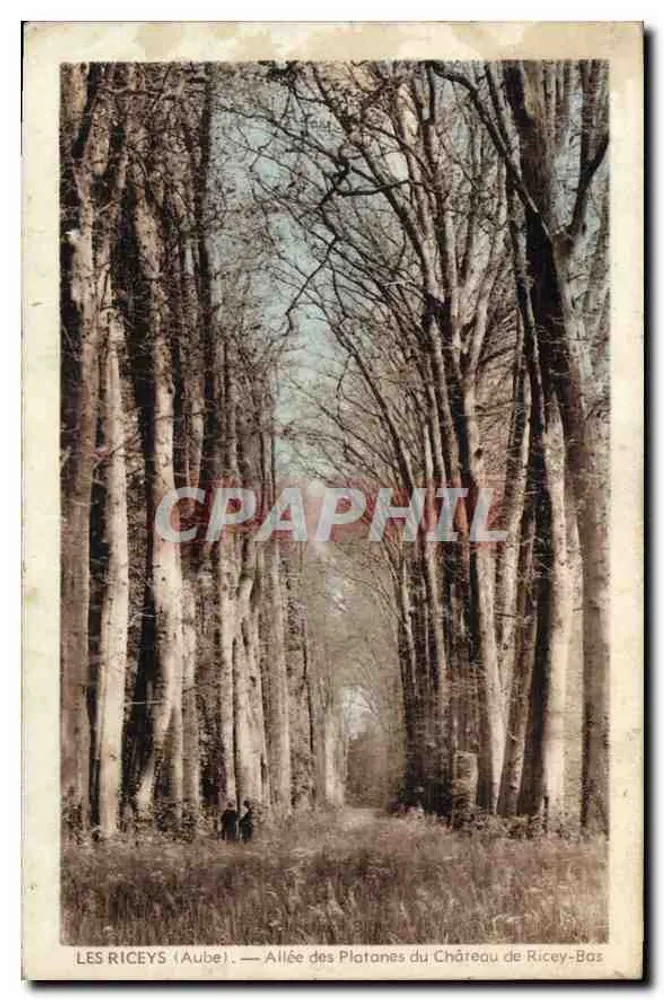 Les Riceys (Aube) — Allée des Platanes du Château de Ricey-Bas - Vorderseite