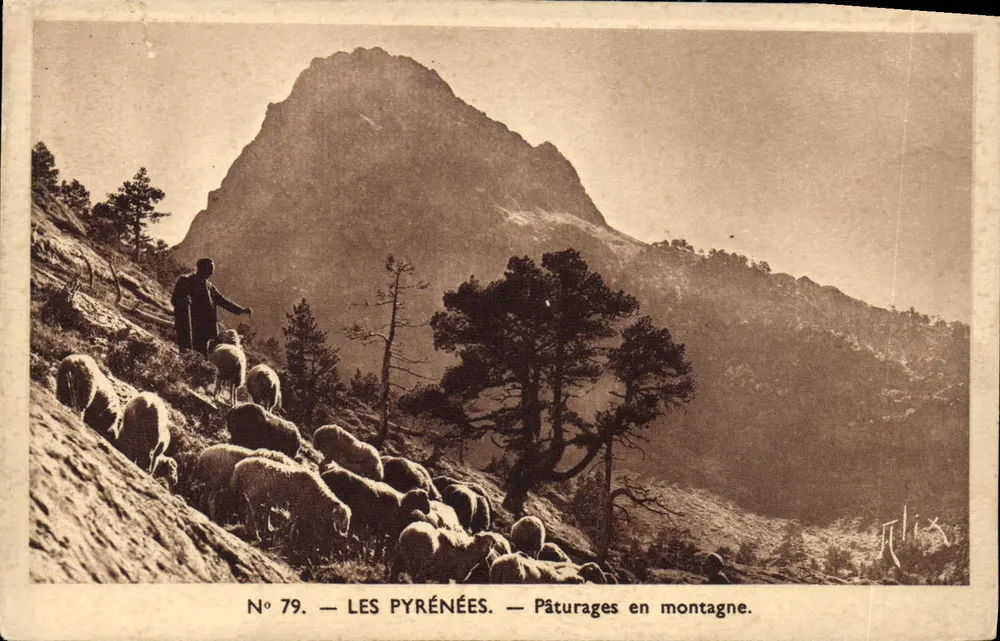 Die Pyrenäen — Bergweiden — Nr. 79 — Verlag: Aspin - Vorderseite