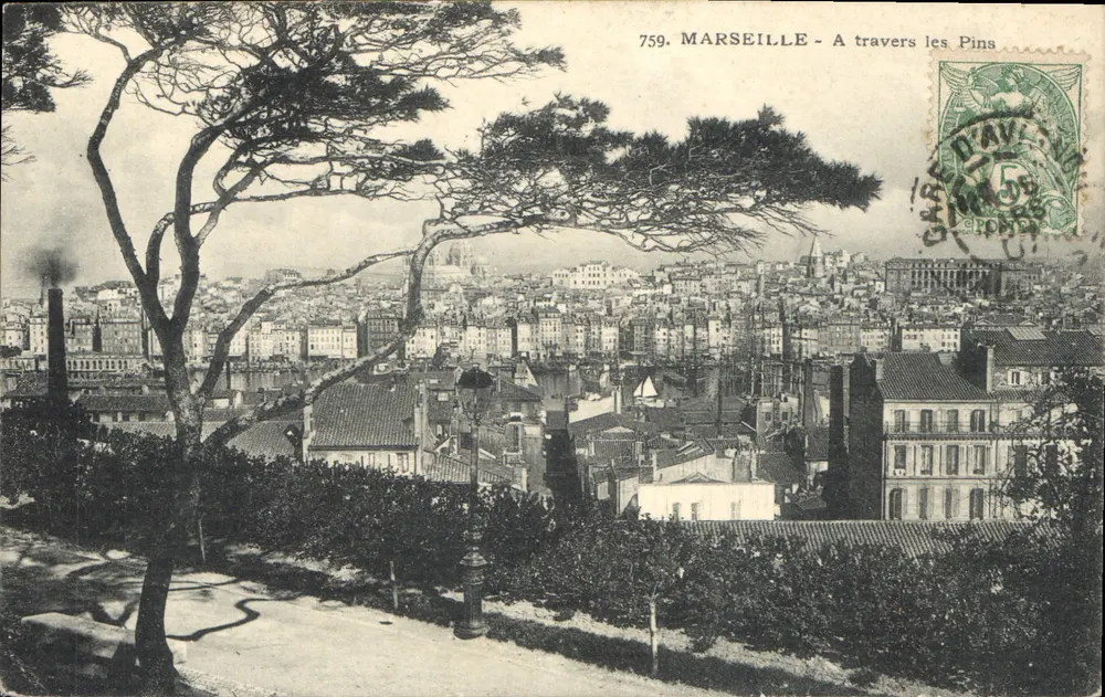 Marseille — A travers les Pins — éditeur Davy, n° 759 - Frente