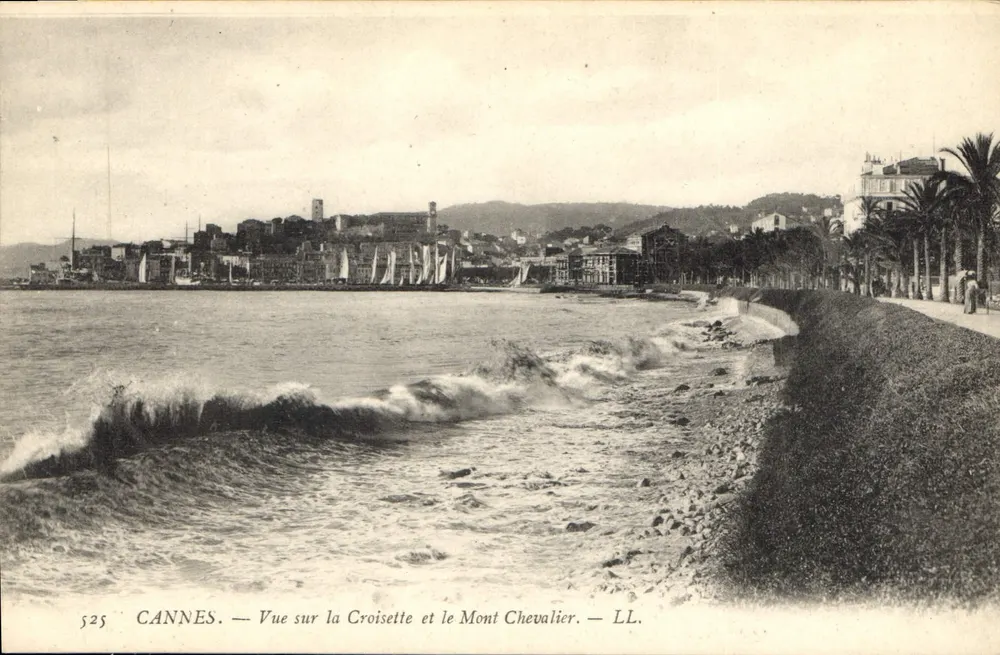 CANNES — Ansicht der Croisette und des Mont Chevalier — LL. — n° 525 - Vorderseite