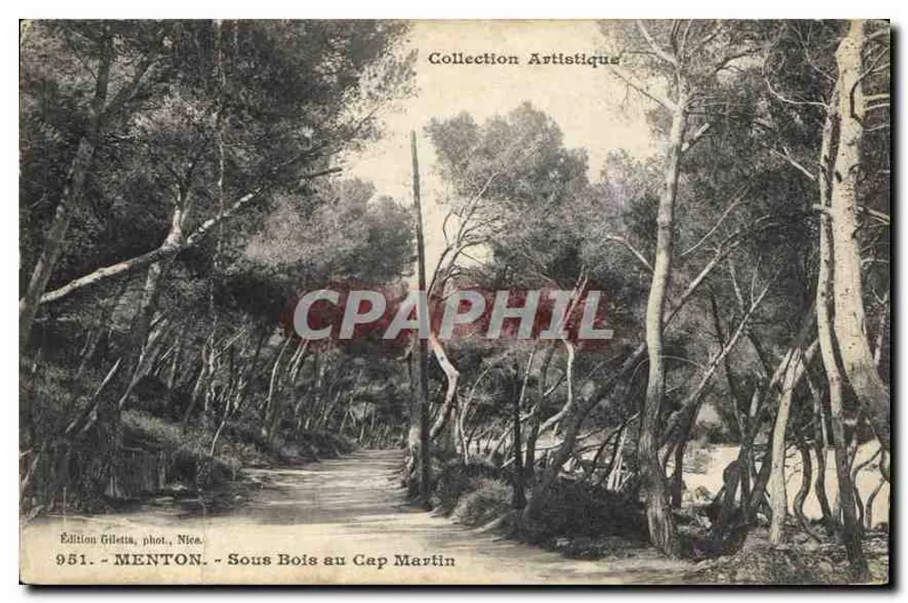 Sous Bois au Cap Martin — Menton — Uitgave Gillet, fot., Nice, n° 951 - Voorkant