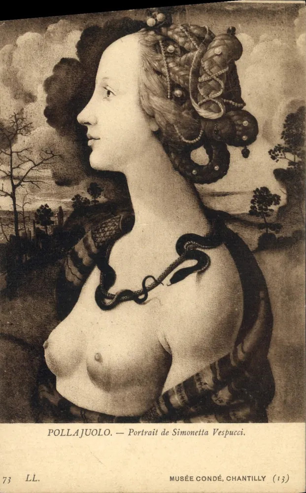 Porträt von Simonetta Vespucci — Pollajuolo — Musée Condé, Chantilly (13) - Vorderseite