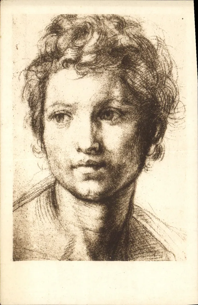 Studie für den Heiligen Johannes den Täufer — Andrea Del Sarto — Fratelli Alinari, Florenz - Vorderseite