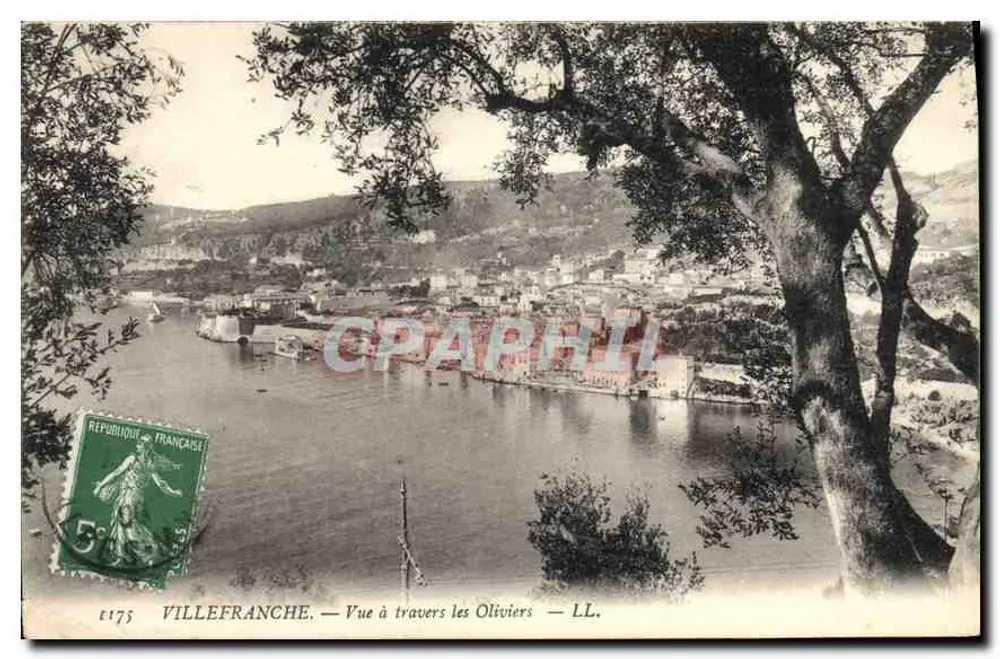 Villefranche — Ansicht durch die Olivenbäume — LL. - Vorderseite