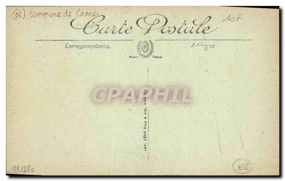 Ilha Santa Marguerita — Avenida dos Eucaliptos — Selecta LL n°28 - Verso
