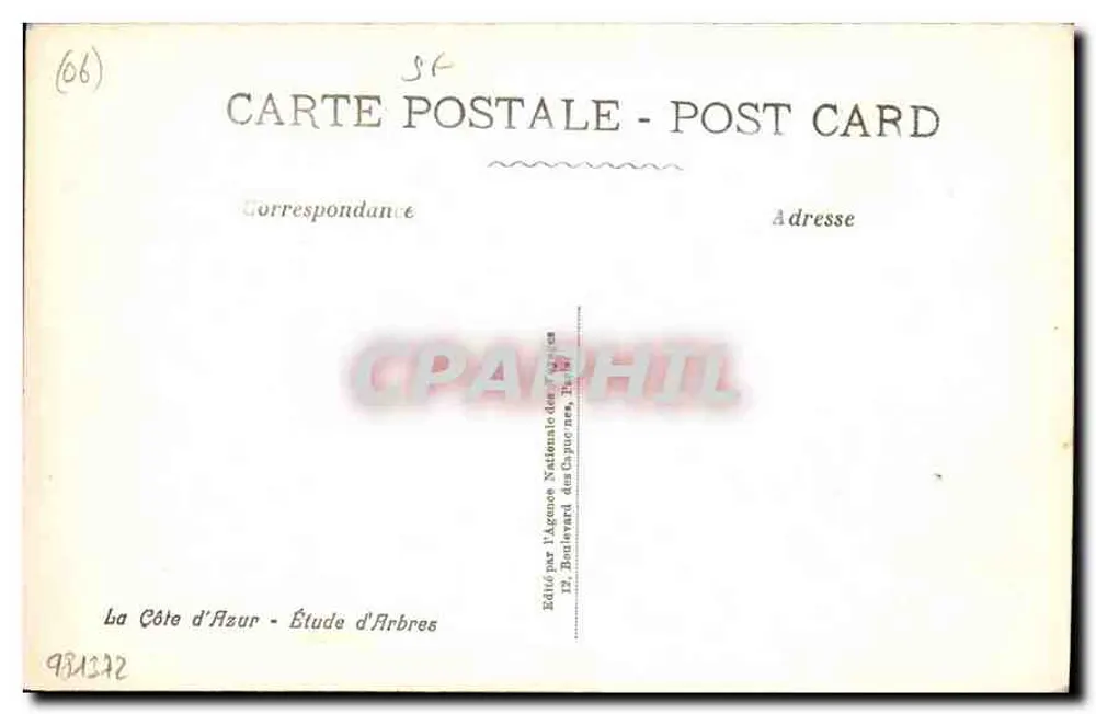 La Côte d'Azur — Étude d'Arbres — Édité par l'Agence Nationale des Cartes - Verso