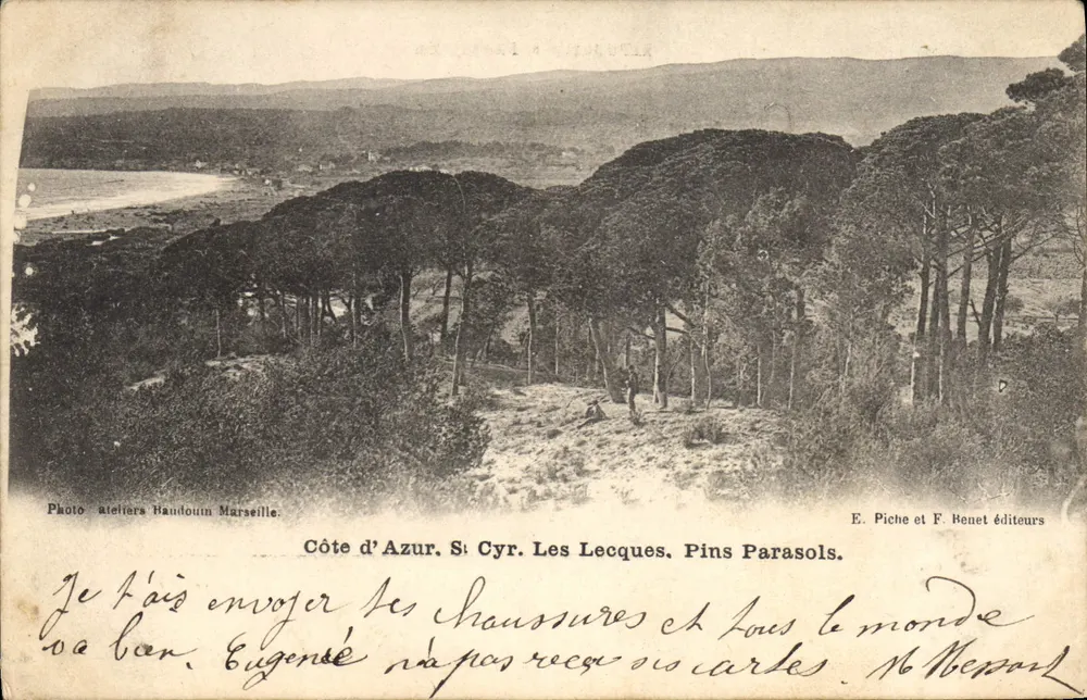 Côte d'Azur. St Cyr. Les Lecques. Kiefern — Photo ateliers Bandouin Marseille. Verlag E. Piche et F. Benet. - Vorderseite