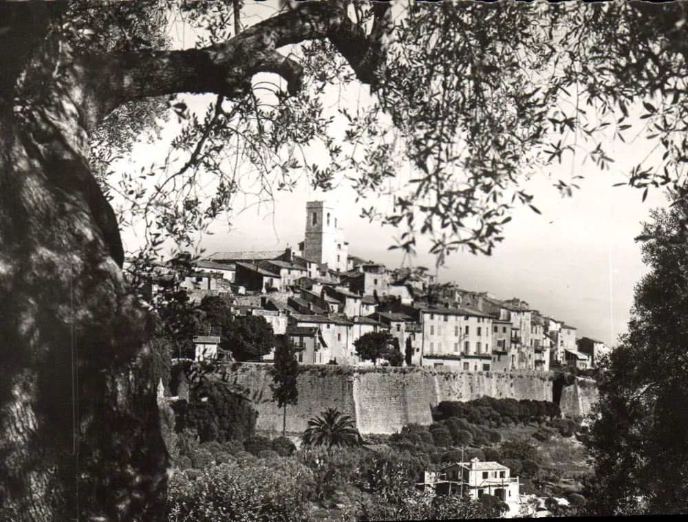 Saint-Paul (Alpes-Maritimes) — Ansicht aus zwischen den Olivenbäumen im Süden — Éditions LEMTNESTRE - Vorderseite