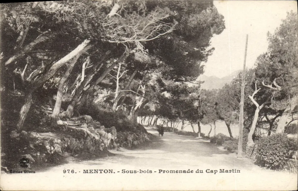 Menton - Unter den Bäumen - Promenade du Cap Martin — Gilletta-Ausgabe, Nr. 976 - Vorderseite