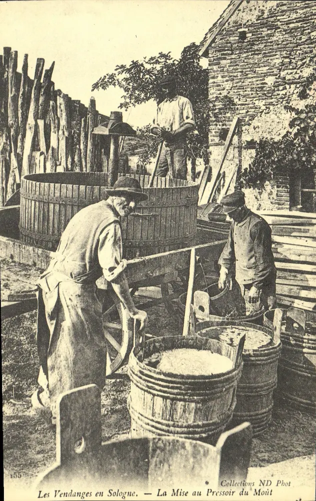 Die Weinlese in Sologne — Das Pressen des Mosts — Sammlung ND Phot - Vorderseite