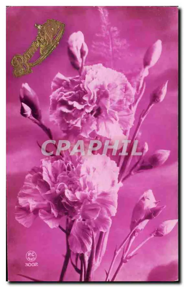 Flores de pâquerettes — edição PC 3002 — editor PC - Frente